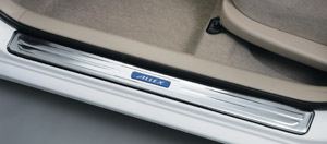 Scuff plate (stainless steel)