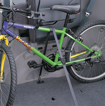 Cycle hold belt