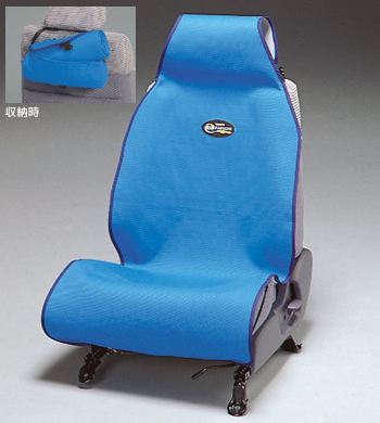 Seat apron