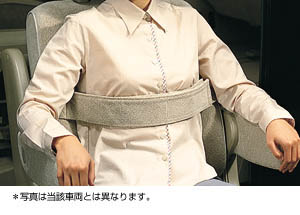 Chest fixed belt