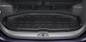 Luggage tray