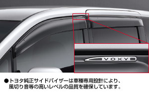 Side visor (RV type)