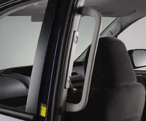 Rear assist grip (for LH)