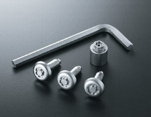 Lock volt/bolt (for license plate)