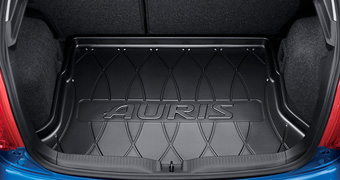 Luggage tray