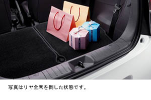 Trunk mat (carpet type)