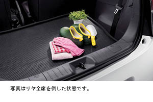 Luggage software tray