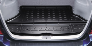 Luggage tray