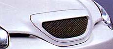 Sport grill