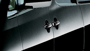 Plated door handle (outside)