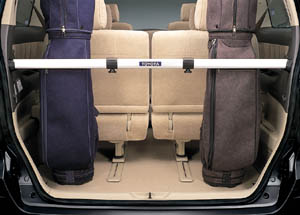 Luggage hold bar
