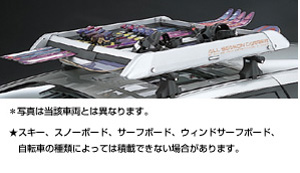 surishisutemuratsuku (all season carrier)