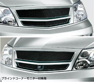 Sport grill