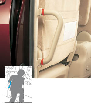 Rear assist grip