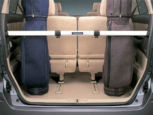 Luggage hold bar