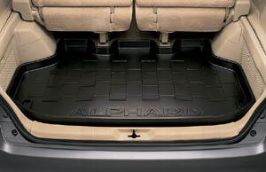Luggage tray