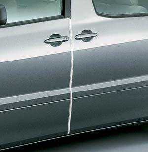Door edge protector