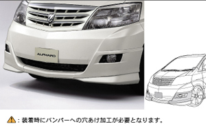Front bumper garnish