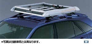 surishisutemuratsuku (all season carrier)
