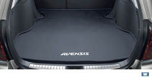 Luggage software tray