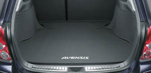 Luggage software tray