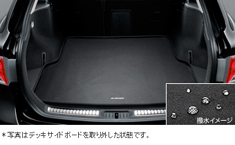 Luggage software tray