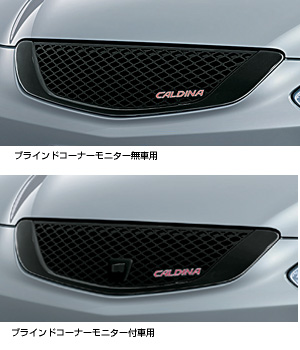 Stylish grill