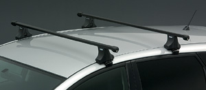surishisutemuratsuku (based rack (roof on type)) (Roof on type F/K)
