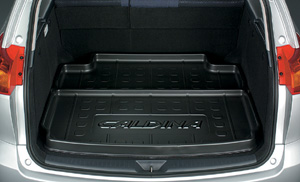 Luggage tray