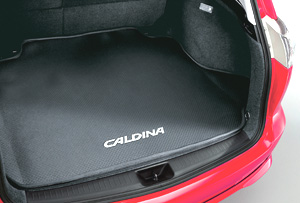 Luggage software tray