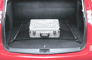 Luggage net