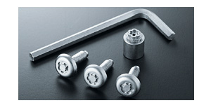 Lock volt/bolt (for license plate)