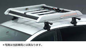 surishisutemuratsuku (all season carrier)