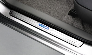 Scuff plate (stainless steel)
