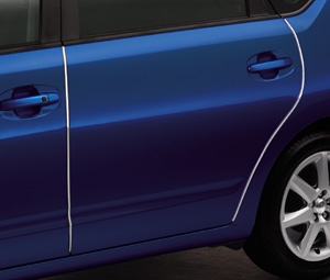 Door edge protector (stainless steel make 1 units set)