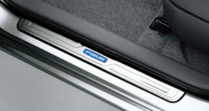 Scuff plate (stainless steel)
