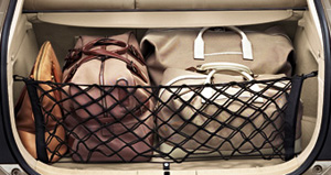 Luggage net