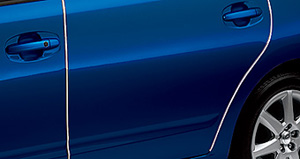 Door edge protector (stainless steel make 1 units set)