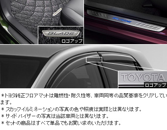 BASIC set (type 1)/BASIC set [scuff illumination/primer/floor mat (royal)/side visor (BASIC)]