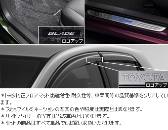 BASIC set (type 2)/BASIC set [scuff illumination/primer/floor mat (luxury)/side visor (BASIC)]