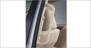 Rear assist grip (for LH)