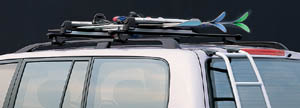 surishisutemuratsuku (based rack (roof rail type))