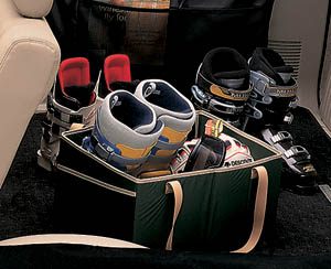 Convenience bag (black/ivy green/sunrise orange)