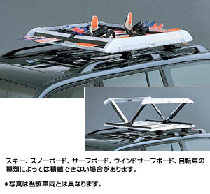 surishisutemuratsuku (all season carrier)