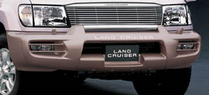 Front bumper protector