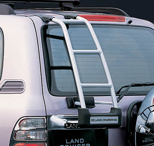 Rear ladder