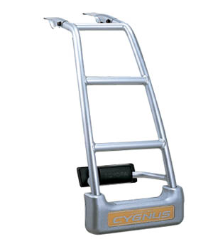 Rear ladder