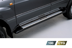 Side protector (side step cover)