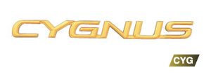 Gold emblem (car name logograph (for rear))