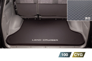 Luggage software tray